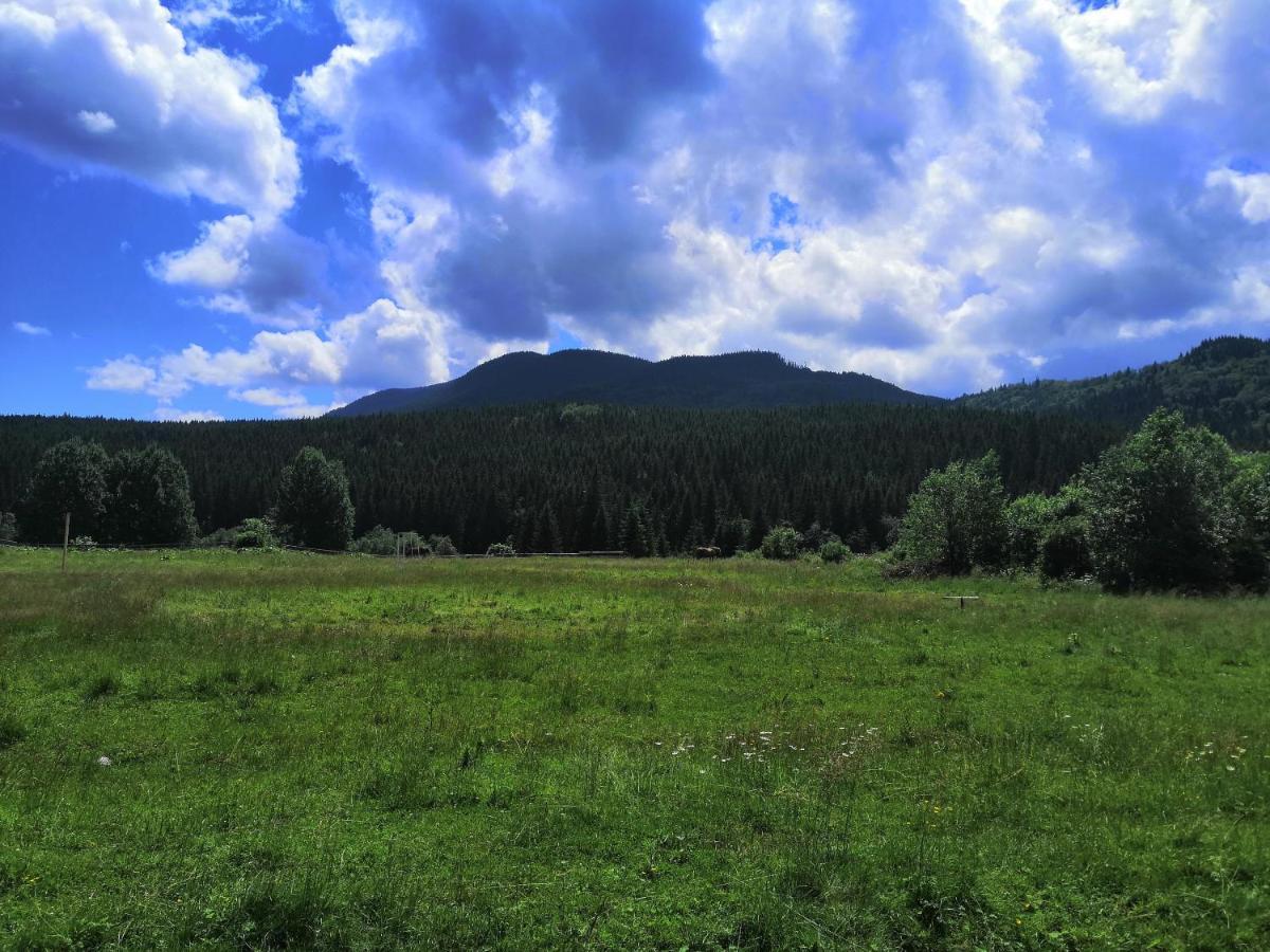 Говерлянка Villa วอรอคตา ภายนอก รูปภาพ