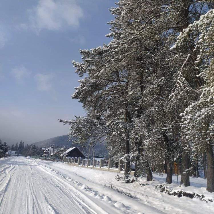 Говерлянка Villa วอรอคตา ภายนอก รูปภาพ