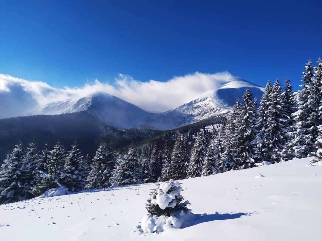Говерлянка Villa วอรอคตา ภายนอก รูปภาพ