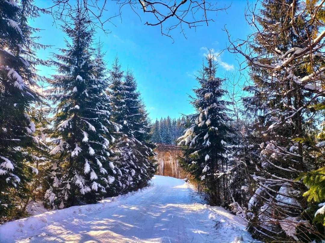 Говерлянка Villa วอรอคตา ภายนอก รูปภาพ