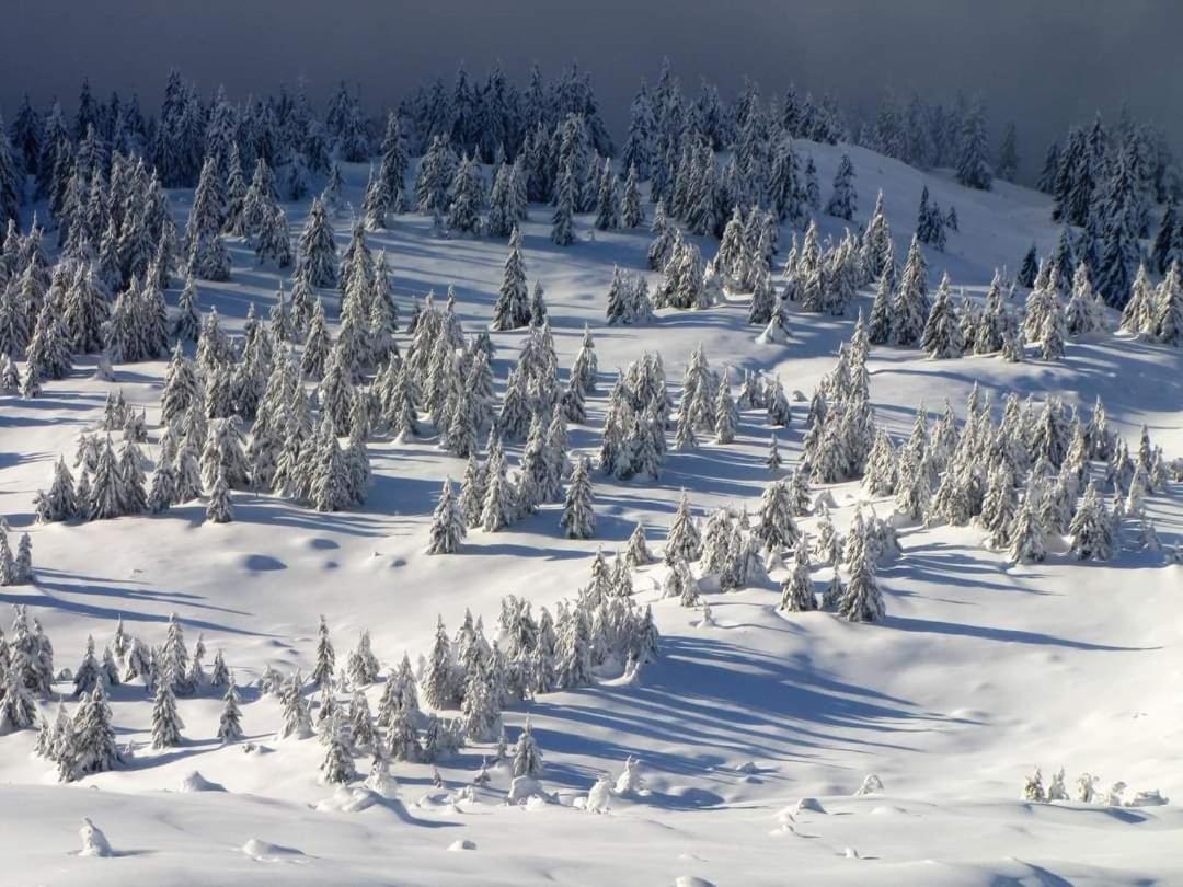 Говерлянка Villa วอรอคตา ภายนอก รูปภาพ